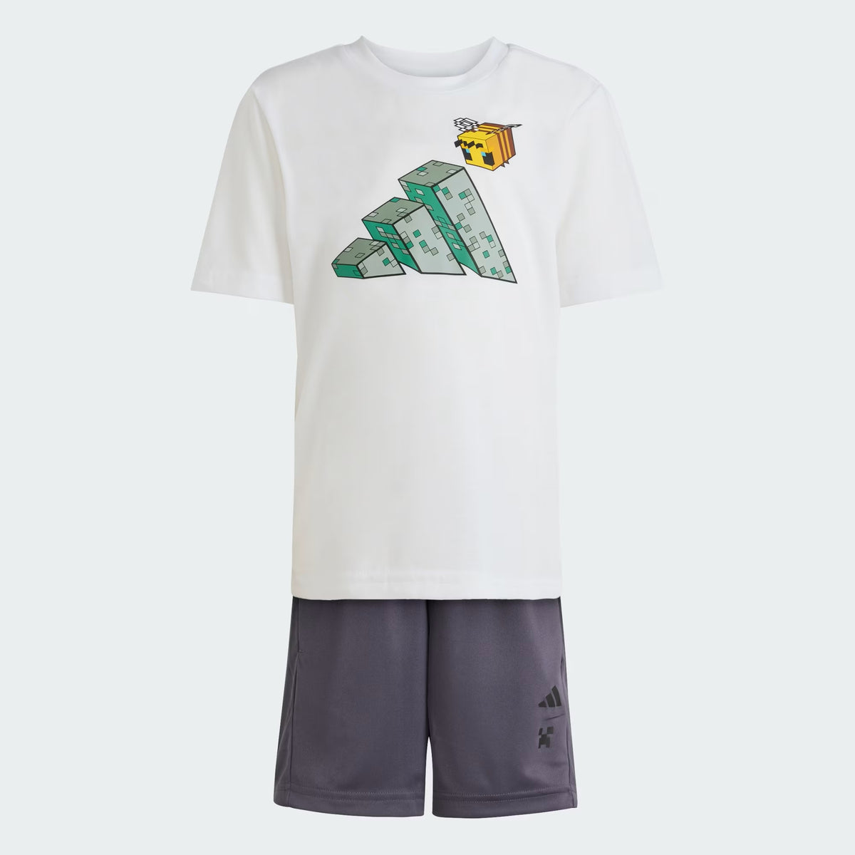 Minecraft Training Summer Set