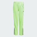 Adicolor Firebird Pants