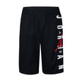 JORDAN VERT MESH SHORT