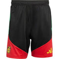 Jamaica x Bob Marley Shorts