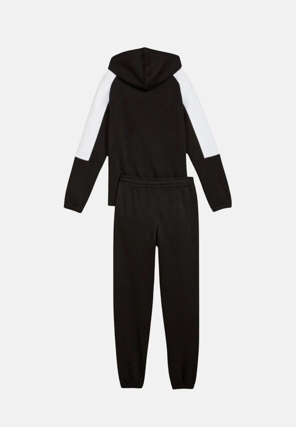 Tuta Puma Essential Block Hooded Ful 689724-01