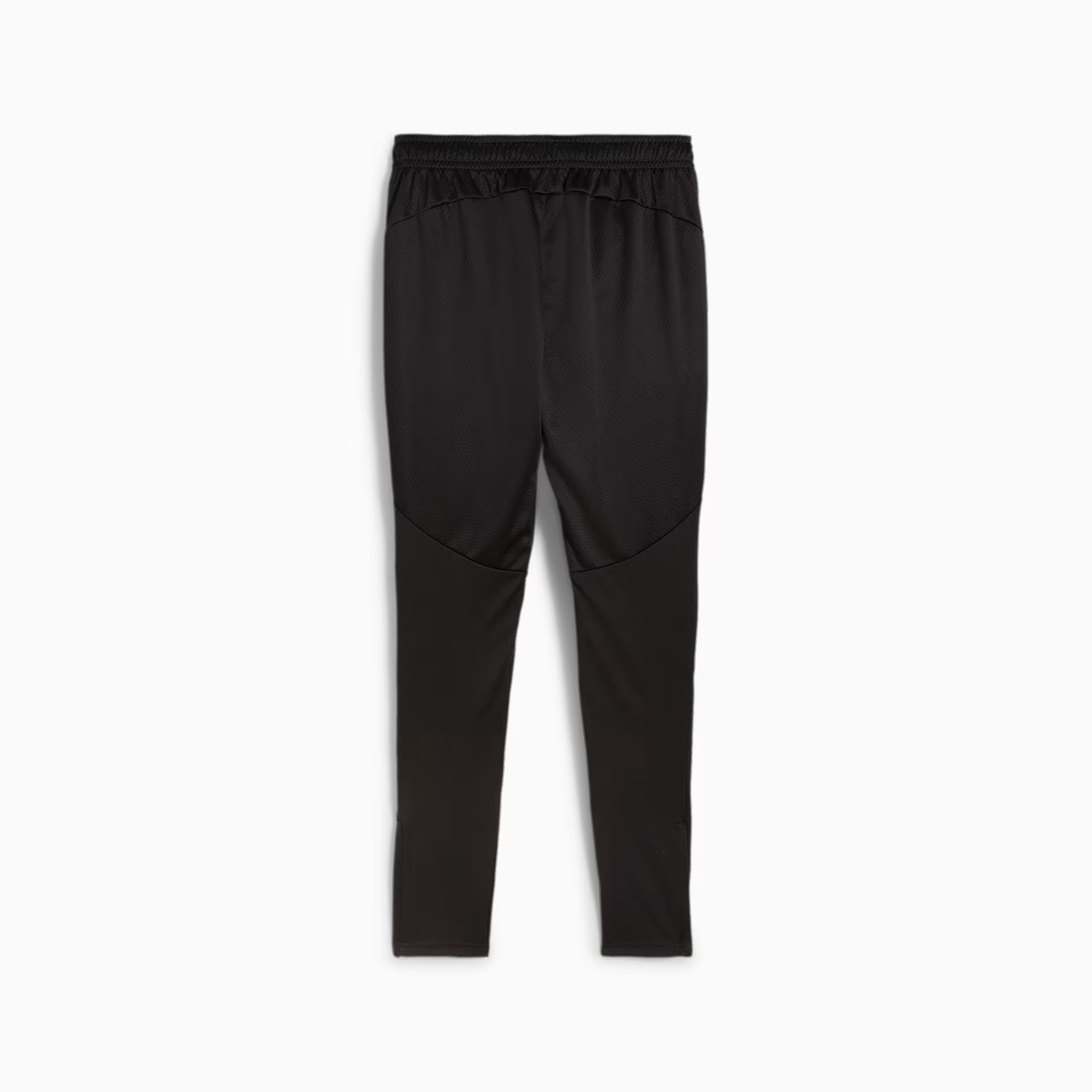 BVB TRAINING PANTS