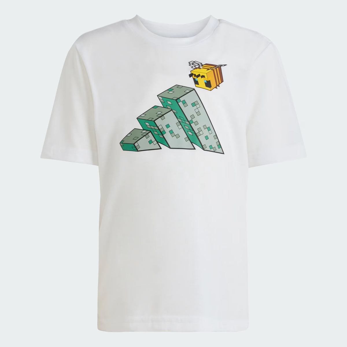 Minecraft Training Summer Set