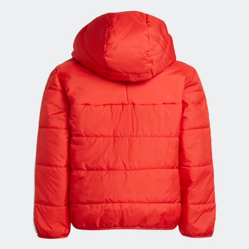 Giubbino Adidas Padded Jacket
