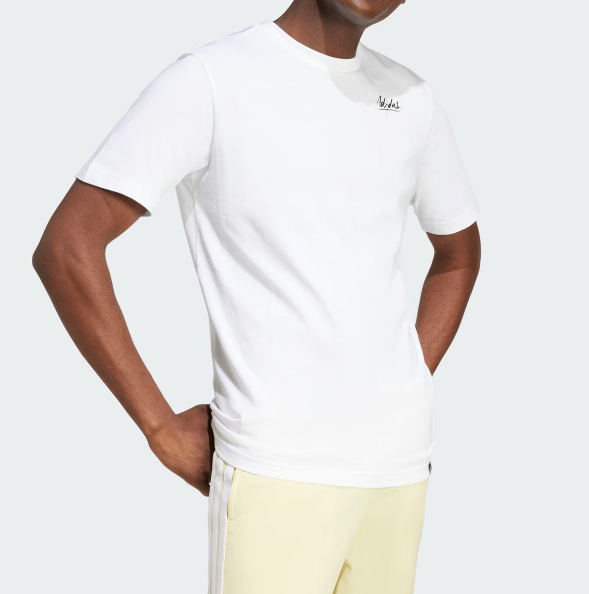 STILL LIFE BOWL GRAPHIC TEE