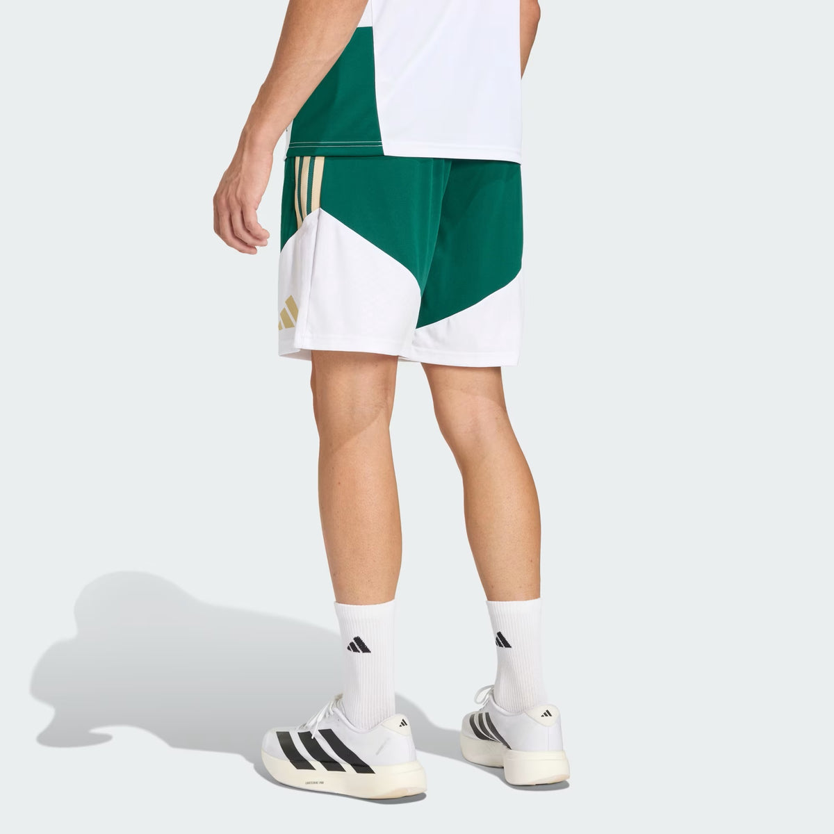 Italy Training Shorts