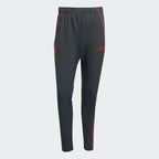 Liverpool FC Prematch pants
