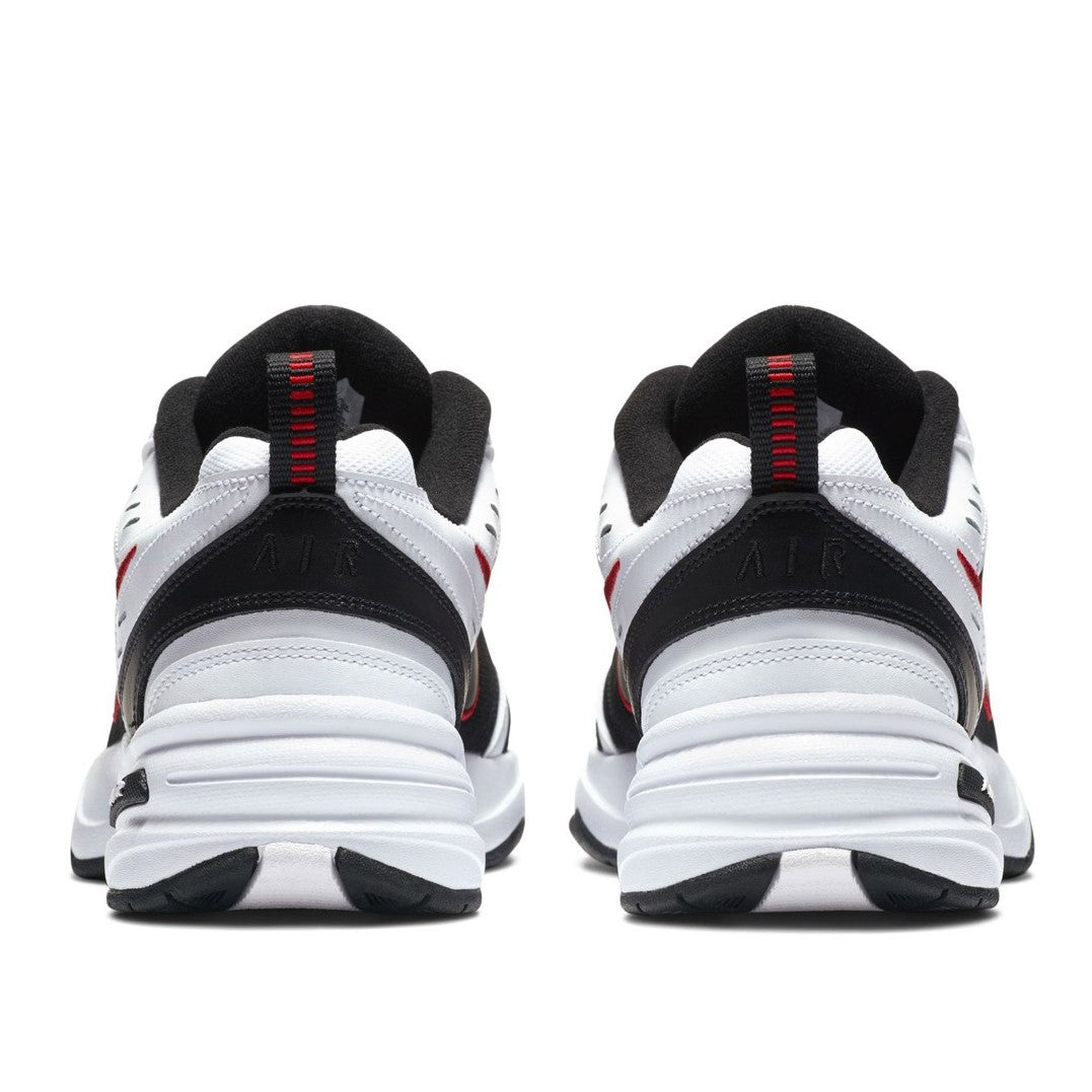 AIR MONARCH IV