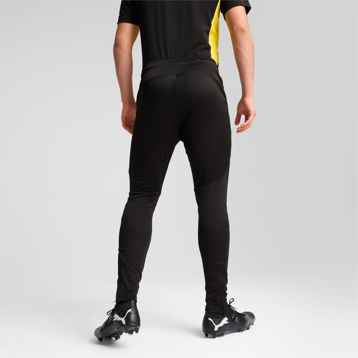 BVB TRAINING PANTS
