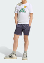 Minecraft Training Summer Set
