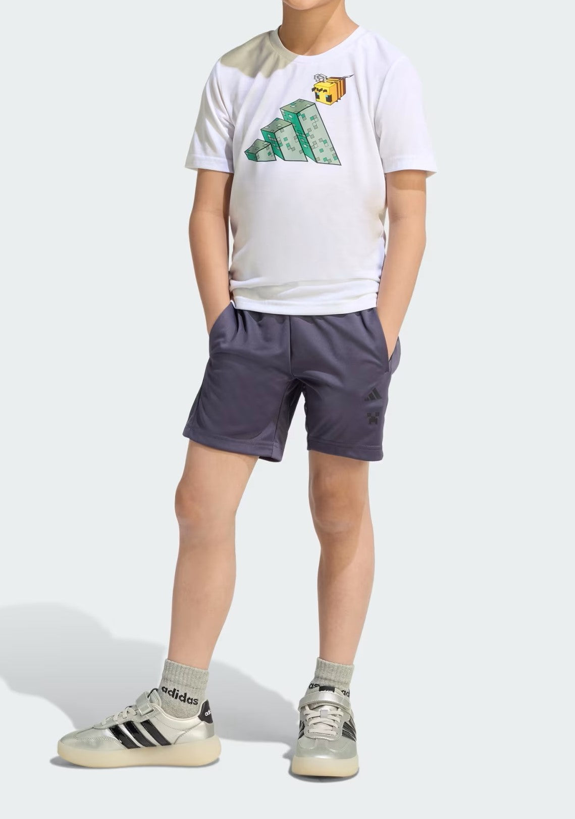 Minecraft Training Summer Set
