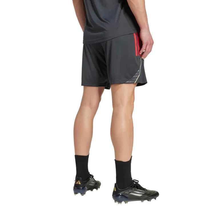 Olympique Lyon Tiro 25 Training Shorts