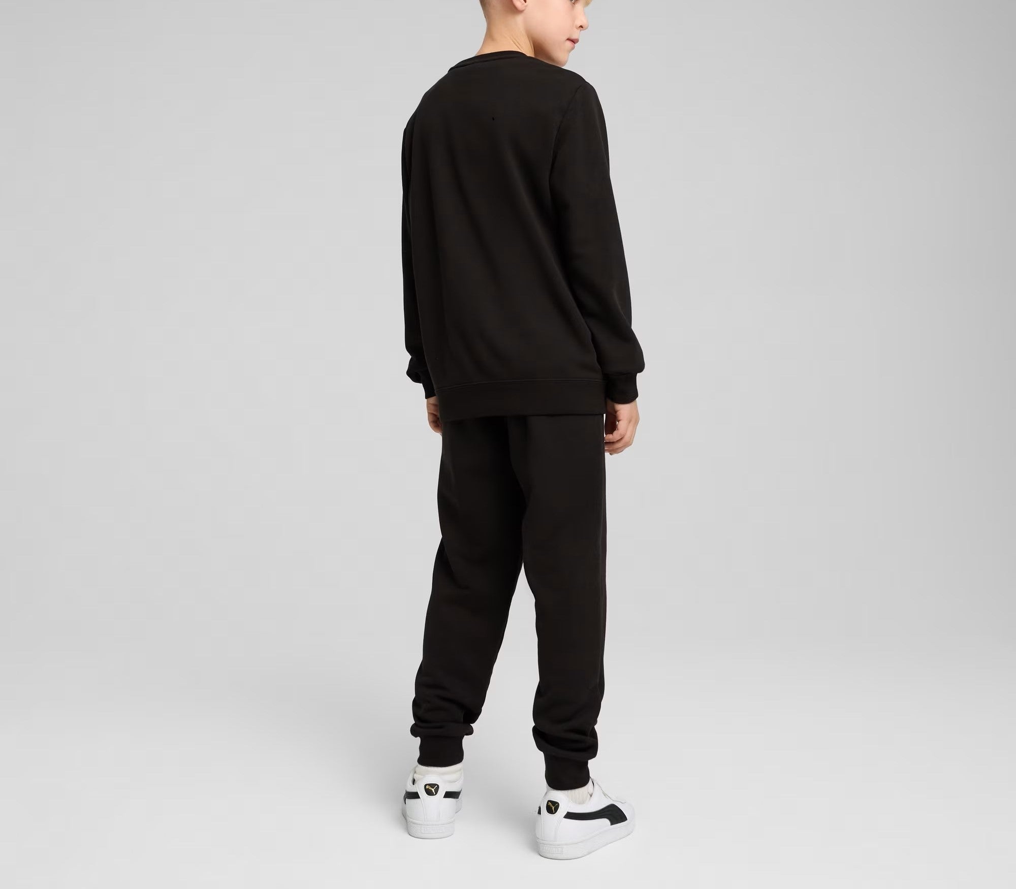 ESS No.1 LOGO CREW SWEAT SUIT B