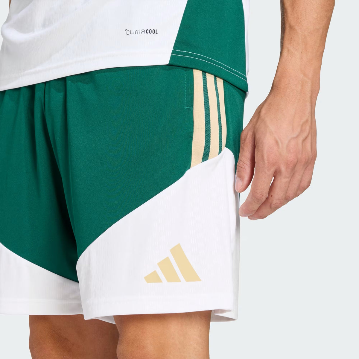 Italy Training Shorts