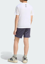 Minecraft Training Summer Set