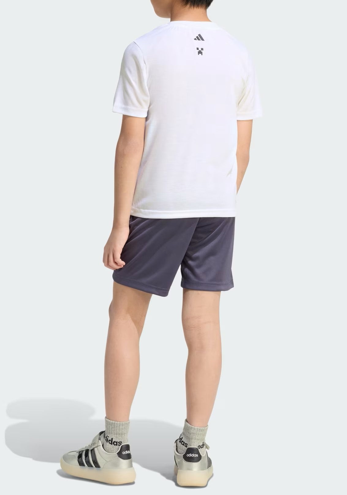 Minecraft Training Summer Set