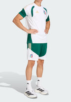 Italy Training Shorts
