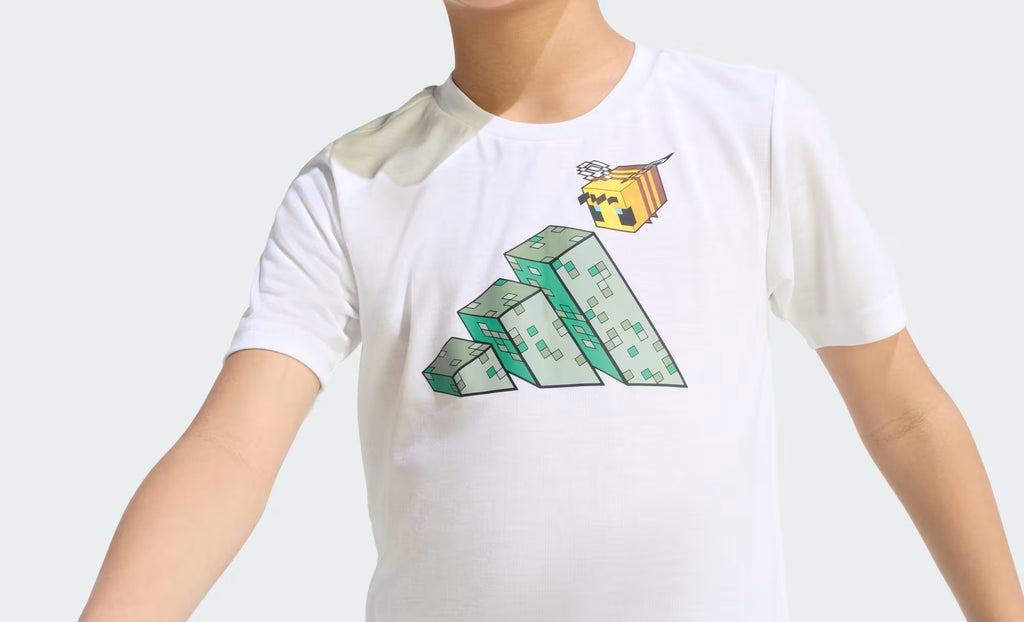 Minecraft Training Summer Set