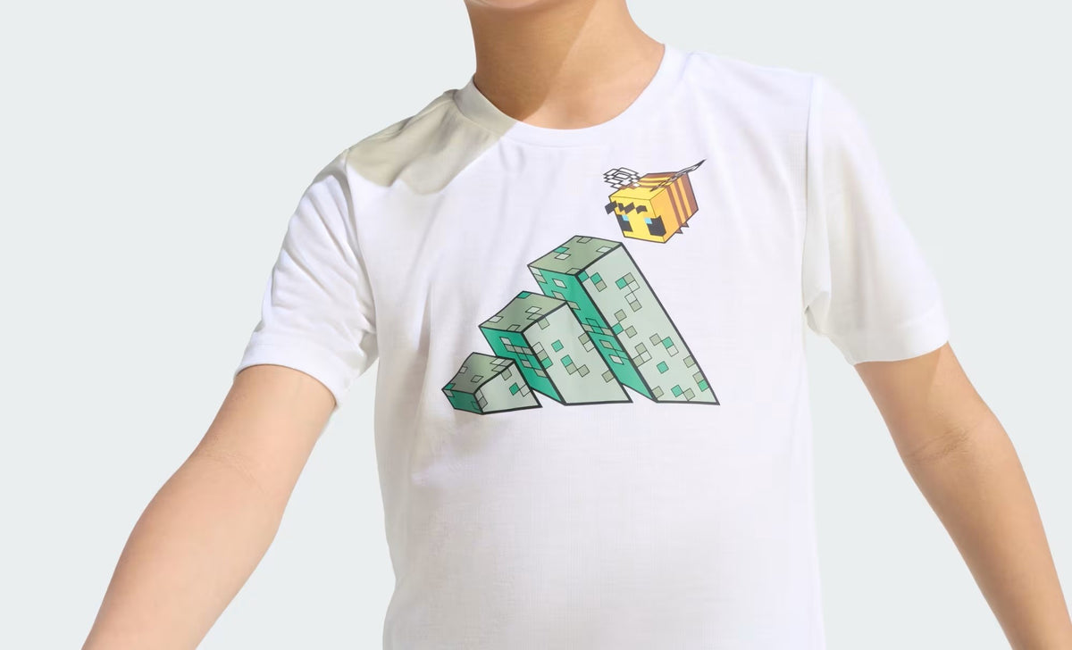 Minecraft Training Summer Set