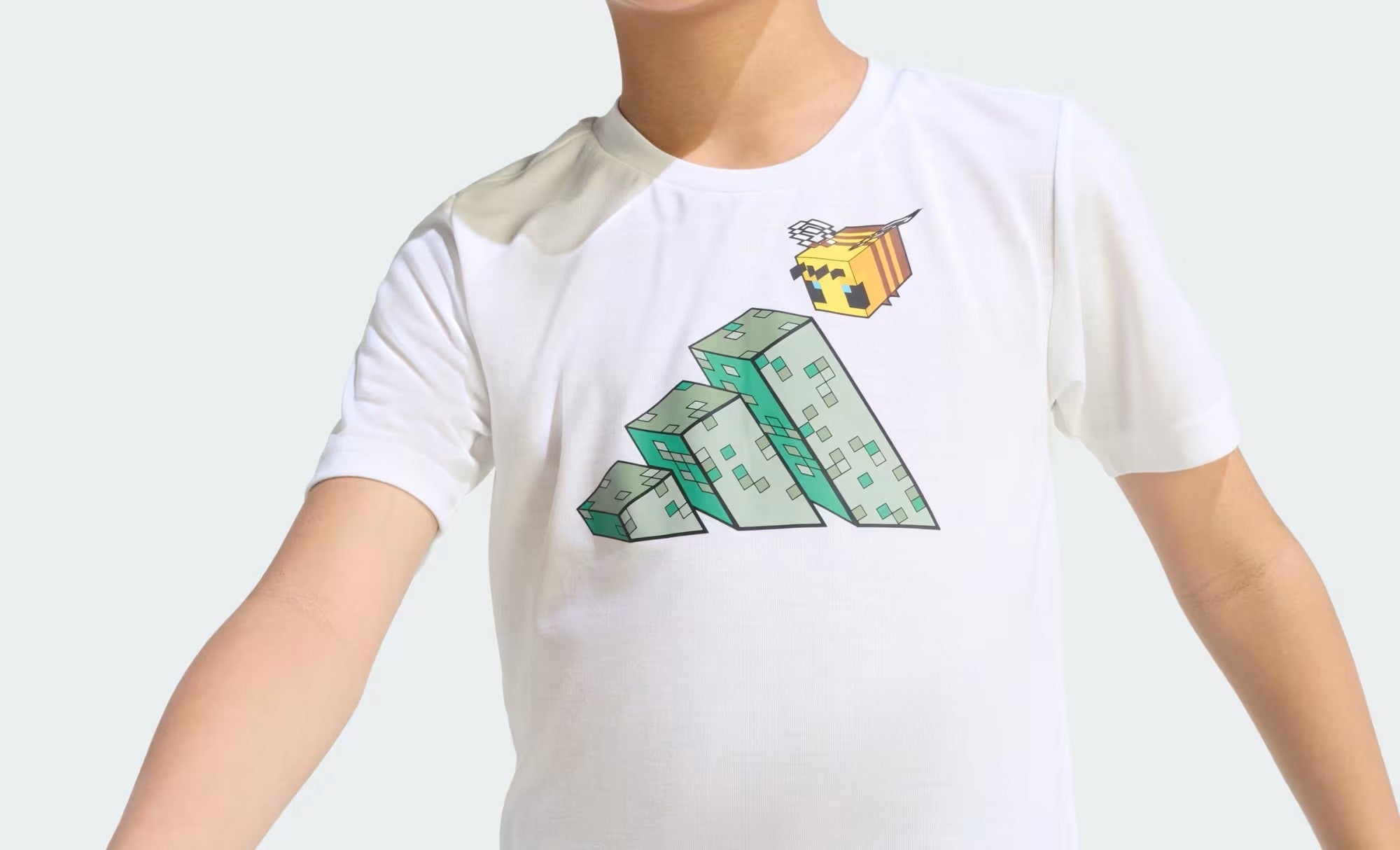Minecraft Training Summer Set