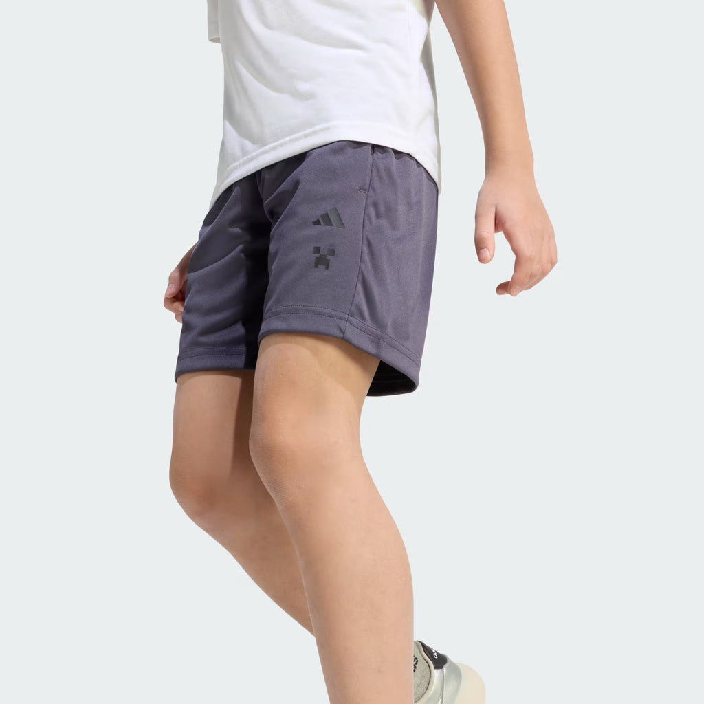 Minecraft Training Summer Set