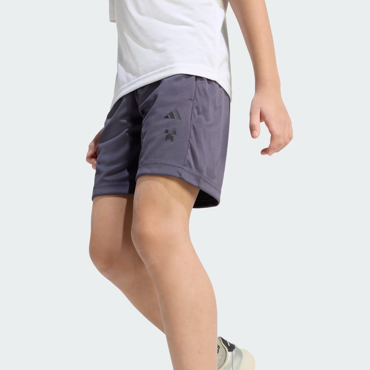 Minecraft Training Summer Set